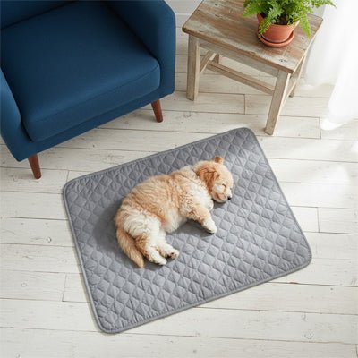 Alese-lavable-chien-chiot-lot-de-2-avec 4 couches ultra absorbantes 100% imperméable-tapis d'apprentissage de la propreté ou pour incontinence ou post opératoire-polyvalent comme protection canapé, lit, meuble, panier, siÚge de voiture, lavable en machine en deux tailles M et L pour tous les chiens-un chiot qui dort paisiblement sur le tapis absorbant gris sur le sol du salon