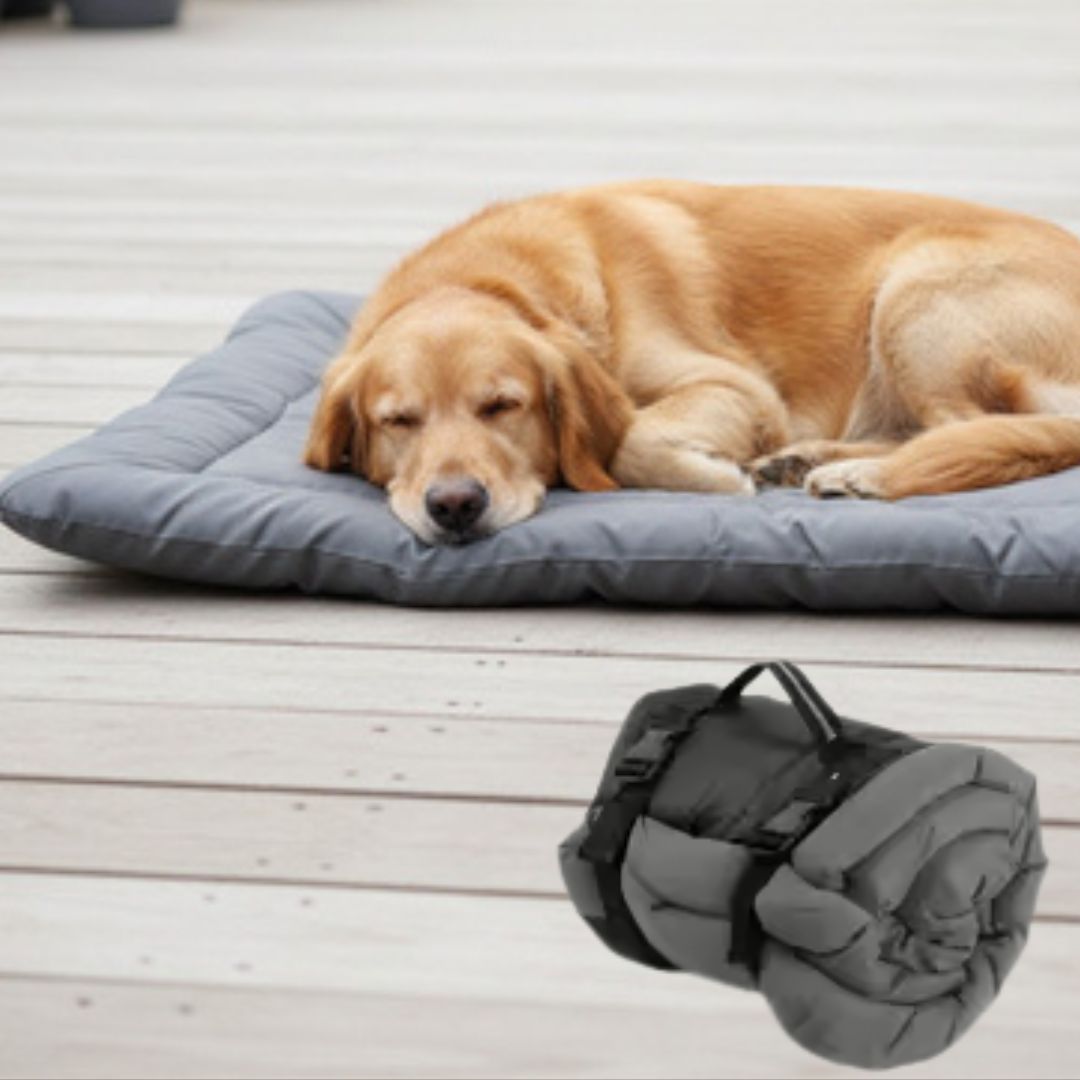 Couverture-imperméable-pour-chien-chiot-pliable avec sangle et clips de fermeture qui le transforme en sac avec poignée de transport intégré-résistant aux griffes et morsures-anti poils et saletés avec son tissu 300D Oxford et rembourrage 100% coton haute densité pour un confort optimal-utilisable partout pour protéger meubles, canapé, siège de voiture ou en coussin rectangulaire pour panier, cage, niche, etc.-de couleur gris