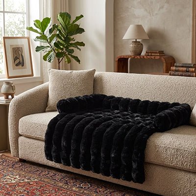 Protection-canape-chien-lit-antiderapant avec traversin entourant sur 3 côté, en fausse fourrure rembourrage 100% coton haute densité, polyvalent pour le sol, canapé, protège lit, protège siège voiture, tapis de cage, pliable, léger et portable pour petit à chien moyenne taille-dimensions 75x75 cm-gros plan sur le protège canapé et literie de couleur noir avec son traversin rembourré 100% cototn haute densité sur le canapé du salon de l'appartement