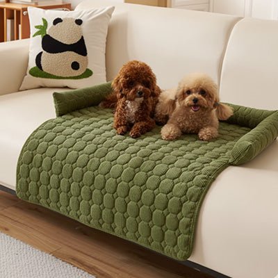 Protege-canape-chien-chiot-impermĂ©able, rĂ©sistant aux griffes, durable, tapis ou couverture qui protĂšge des accidents, humiditĂ© saletĂ©, boue,tissu anti poils, lavable en machine avec traversin en U pour un sentiment d'enveloppement ou un soutien du cou ou de la tĂȘte du chien, antidĂ©rapant pour chien de 0 Ă 15 kilos-deux chiot caniches en apprentissage de propretĂ© sur le protege canape de couleur vert au rembourrage 100% coton sur le canapĂ© du salon de l'appartement