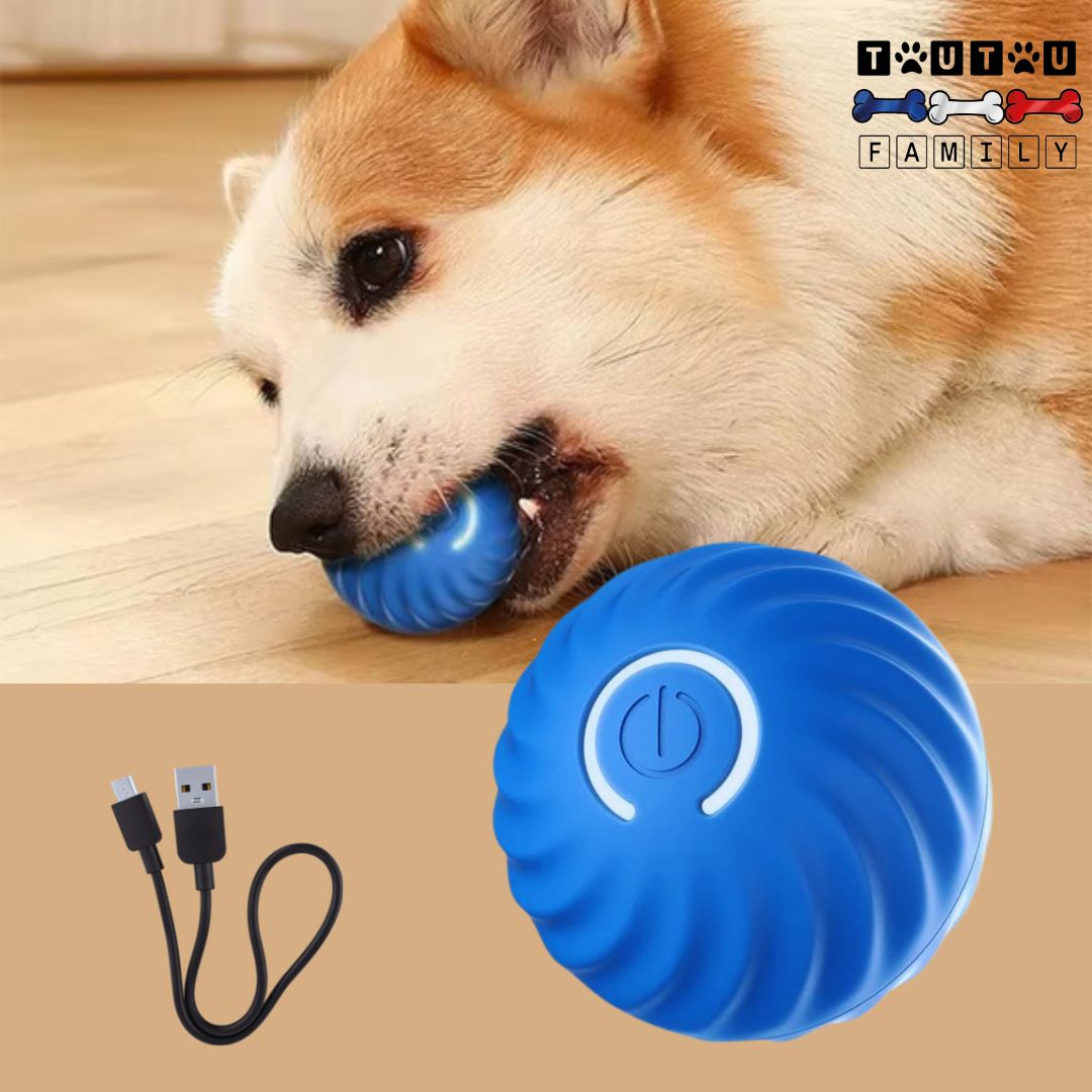 Balle-interactive-pour-chien-avec-cĂąble-USB-bleu-rechargeable-avec-revĂȘtement-en-caoutchouc-jouet-d-occupation-chien-lumineuse-vibrante-rebondissante-balle-qui-roule-toute-seule-un-chien-qui-mort-dans-la-balle-solide