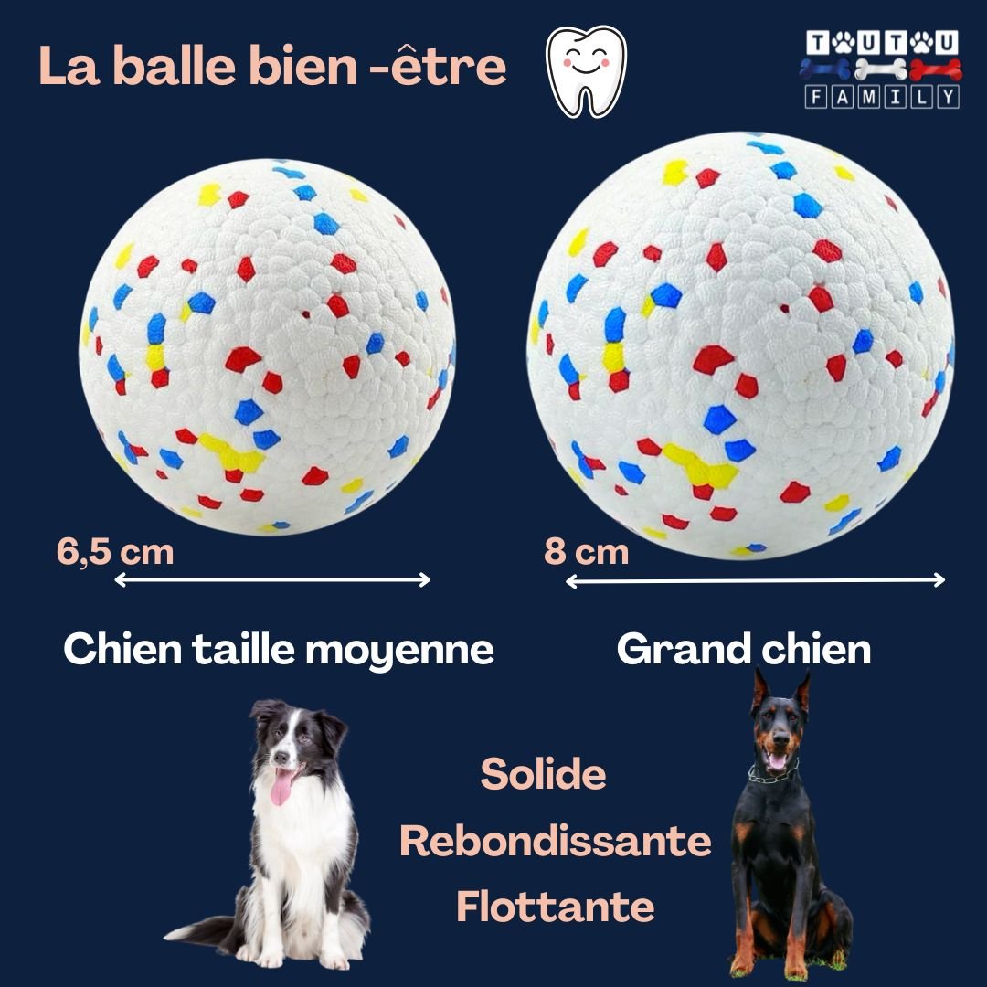 Balle-pour-chien-indestructible-caractéristiques-deux-diamètre-6,5-cm-et-8-cm-pour-grand-chien-et-chien-moyen-solide-rebondissante-et-flottante