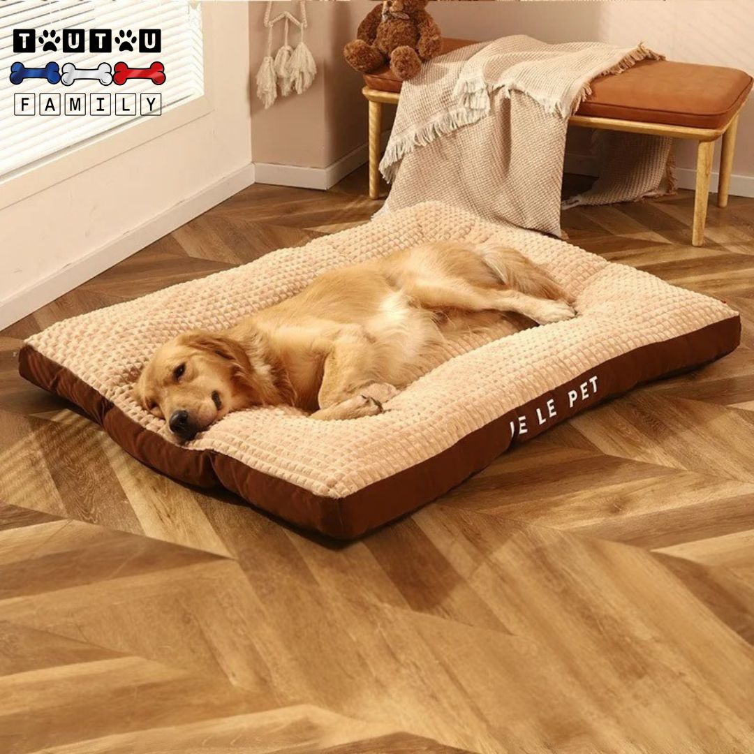 Lit-pour-chien-XXL-dehoussable-résistant solide imperméable matelas épais 100% coton PP avec housse ultra-douce en coton velours pour les peaux sensibles un grand chien couché sur son lit ergonomique marron qui dort paisiblement isolé du sol froid