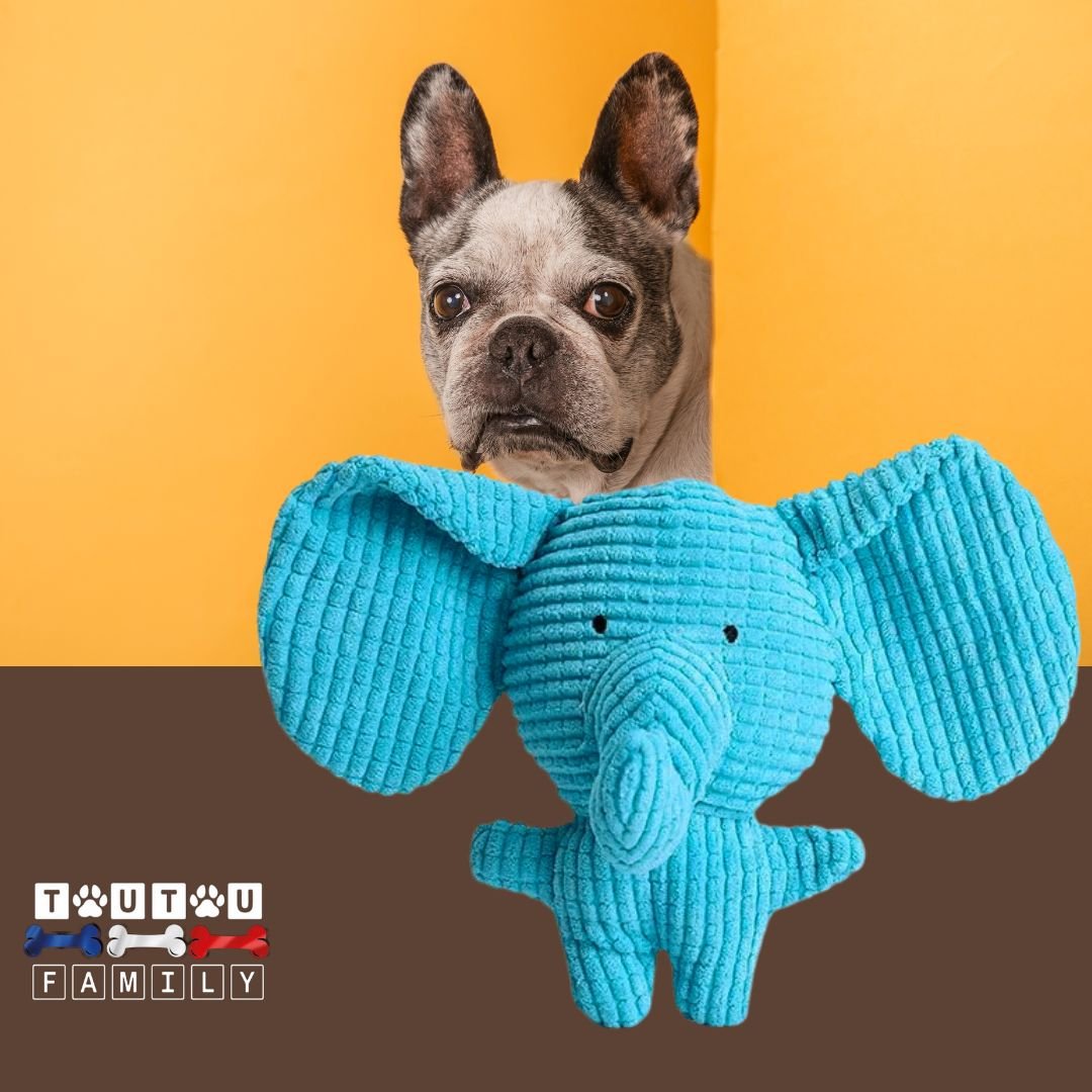 Peluche-chien-sonore-éléphant-jouet-à-mâcher-sans-danger-préserve-vos-meubles