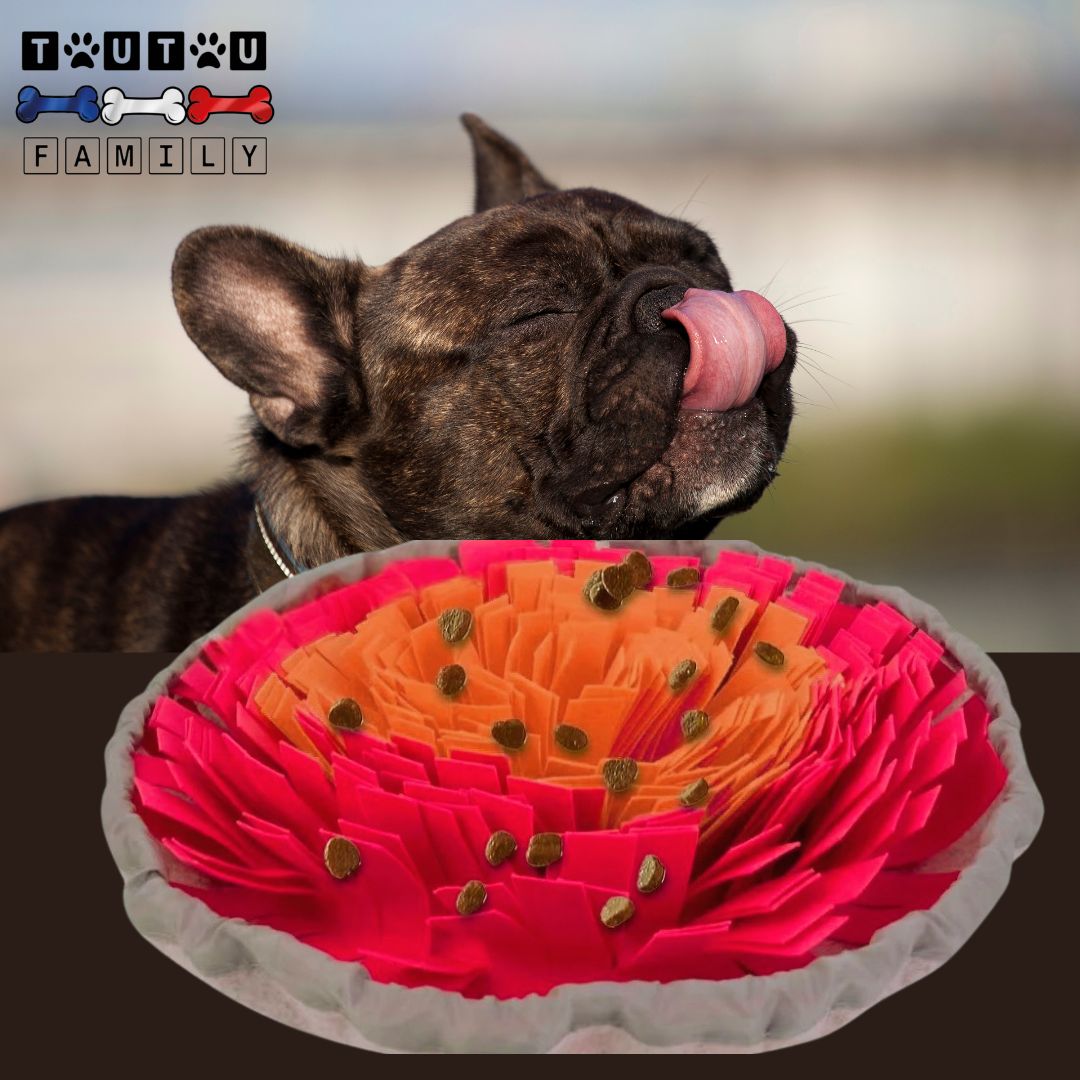tapis-de-fouille-rose-et-orange-un-bouledogue-qui-se-lĂšche-les-babine-devant-le-tapis-de-fouille-orange-et-rose-avec-son-cordon-de-serrage-garni-de-croquette