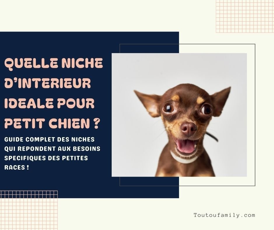 Niche d'intérieur pour petit chien : guide complet pour votre petit compagnon !