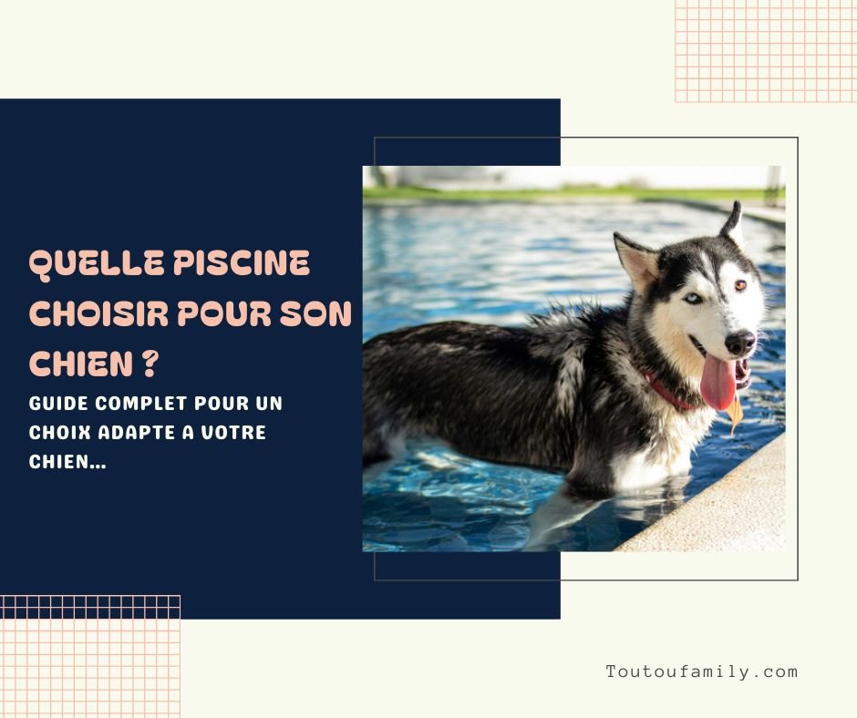 Piscine pour Chien - Le guide complet pour choisir la meilleure piscine pour votre chien !
