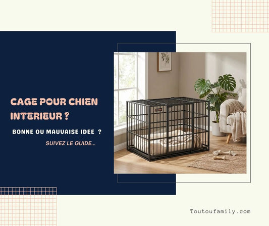 Cage Chien Intérieur - Bonne ou mauvaise idée ?