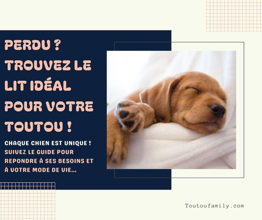 Lit pour chien - Guide complet pour choisir le meilleur couchage pour votre toutou - Toutoufamily