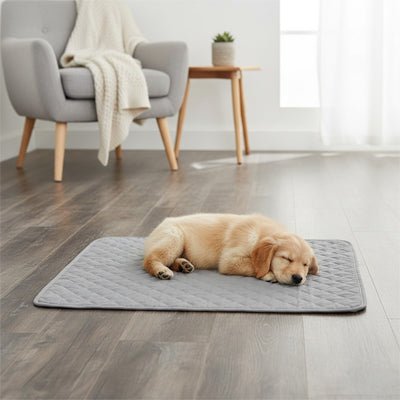 Alèse lavable chiot hygiène, imperméable, 4 couches absorbantes, surface douce qui reste toujours sèche résistante aux griffes et lavable en machine pour chiot de petite à grande taille,durable et polyvalent comme protection de la literie, couchage, sol, siège voiture, etc- un chiot de grande race qui dort paisiblement sur l'alèse douce et confortable de couleur grise sur le sol en parquet du salon de la maison