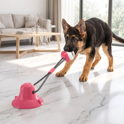 Balle-pour-chien-avec-ventouse-chiot-distributeur-de-croquette en caoutchouc naturel solide et écoresponsable, lavable, jouet d'occupation alimentaire, jeu de recherche et récompense, balle de 8 cm de diamètre adapté au race moyenne à grande, cordon extensible robuste pour des jeu de tire à la corde autonome avec sa ventouse imperméable qui colle sur toutes surfaces lisses-un chiot de grande race qui tire la balle  corde avec ventouse par sa mâchoire pour un jeu qui muscle et récompense par les friandises 
