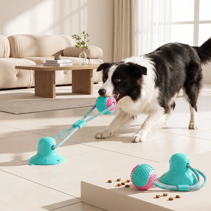 Balle-pour-chien-avec-ventouse-chiot-distributeur-de-croquette en caoutchouc naturel solide et écoresponsable, lavable, jouet d'occupation alimentaire, jeu de recherche et récompense, balle de 8 cm de diamètre adapté au race moyenne à grande, cordon extensible robuste pour des jeu de tire à la corde autonome avec sa ventouse imperméable qui colle sur toutes surfaces lisses-un chien de race active qui tire la balle  corde avec ventouse par sa mâchoire pour un jeu qui muscle et récompense par les friandises 