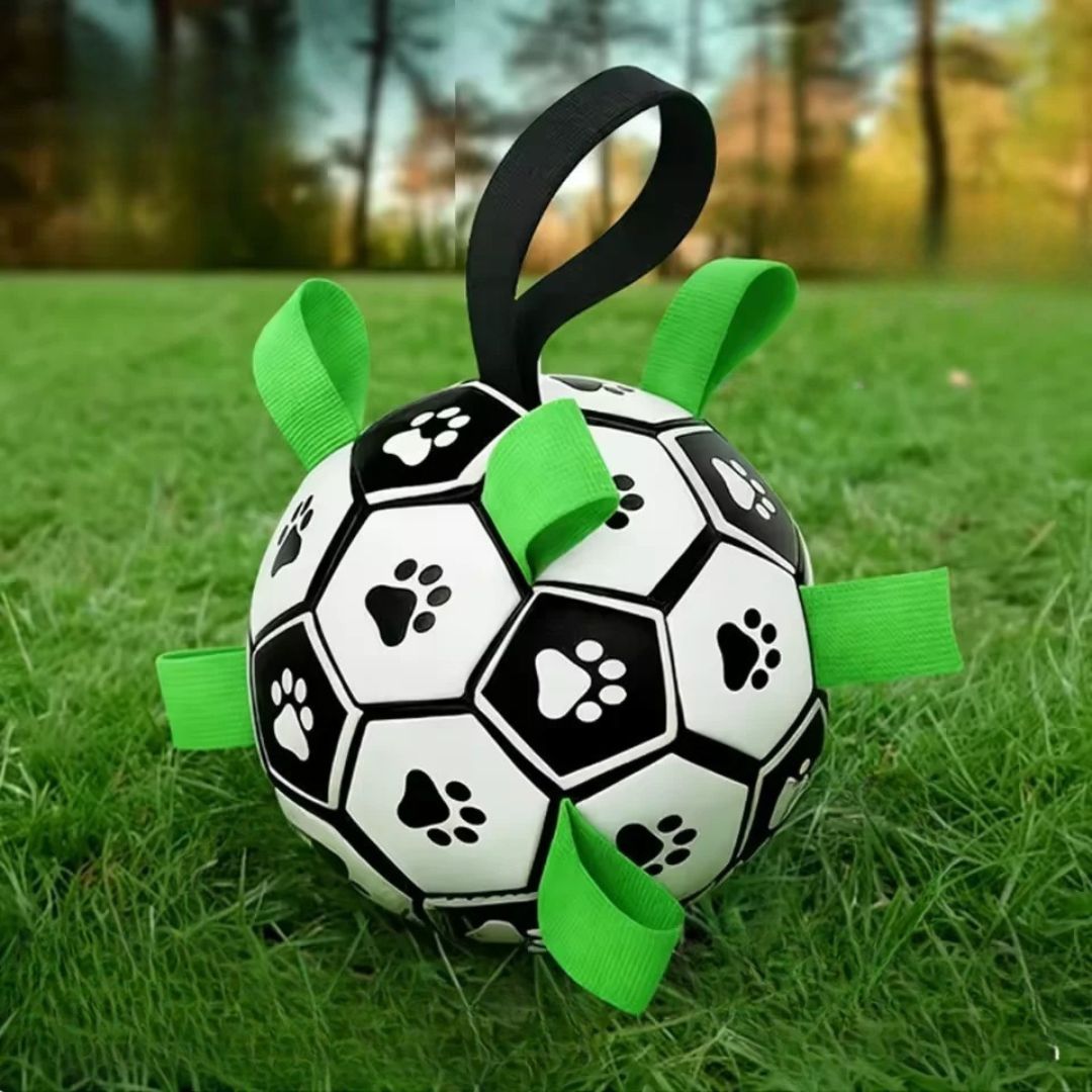 Balle-pour-chien-de-foot-chiot-avec-sangles en nylon robuste pour une meilleur préhension, gonflable avec pompe fournie, TPU sans danger, rembourrage caoutchouc naturel et coutures solides en coton, écoresponsable et sans danger, ballon rebondissant et flottant de 15 cm de diamètre idéal pour les chiots et chien de petite à moyenne taille- gros plan sur le ballon de foot avec sangles nylon , matériaux naturel résistant et sans danger pour le chiot et le chien, écoresponsable sur la pelouse du parc
