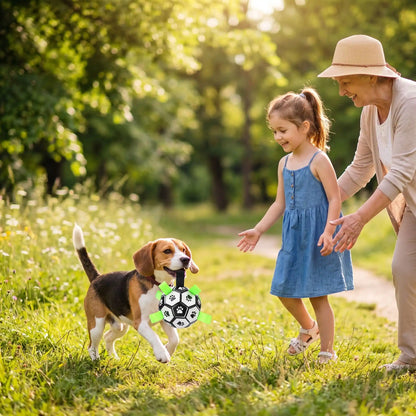 Balle-pour-chien-de-foot-chiot-avec-sangles en nylon robuste pour une meilleur préhension, gonflable avec pompe fournie, TPU sans danger, rembourrage caoutchouc naturel et coutures solides en coton, écoresponsable et sans danger, ballon rebondissant et flottant de 15 cm de diamètre idéal pour les chiots et chien de petite à moyenne taille-un chien de moyenne taille qui tient fièrement son ballon de foot par une des sangles en et le rapporte à une petite fille et sa mamie dans le jardin