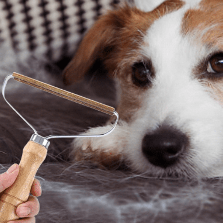 Brosse-anti-poils-chien-animaux, chat, manche en bambou, structure en acier robuste et fils de cuivre, efficace en un passage pour tous types de vêtements (sauf cachemire et laine), ameublement, tissu, canapé, siège de voitures, tapis, rideaux, moquette, canapé, etc.- gros plan sur la brosse anti poil efficace et robuste, réutilisable à l'infini, avec en arrière plan un chien assis sur le canapé en tissu remplit de ses poils dans le salon de la maison