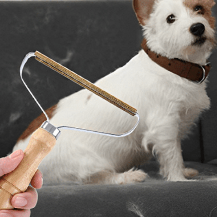 Brosse-anti-poils-chien-animaux, chat, manche en bambou, structure en acier robuste et fils de cuivre, efficace en un passage pour tous types de vêtements (sauf cachemire et laine), ameublement, tissu, canapé, siège de voitures, tapis, rideaux, moquette, canapé, etc.- gros plan sur la brosse anti poil efficace et robuste, réutilisable à l'infini, avec en arrière plan un chien assis sur le canapé en tissu remplit de ses poils dans le salon de la maison