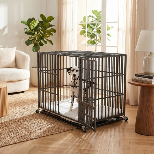 Cage-chien-interieur-indestructibl, solide, anti mastication et anti évasion, en acier carbone inoxydable, barreaux épais rectangulaire pour une solidité maximale, serrure renforcée, ouverture par porte avant et porte sur le toit, fond en renforcée par une barre au milieu et plateau anti-salissures amovible sur 4 roues rotatives 360° pour un déplacement facile, disponible en 3 tailles L, XL et XX pour chien jusqu'à 65 kg-un dalmatien assis confortablement dans sa cage xxl noir dans le salon de l'appartement