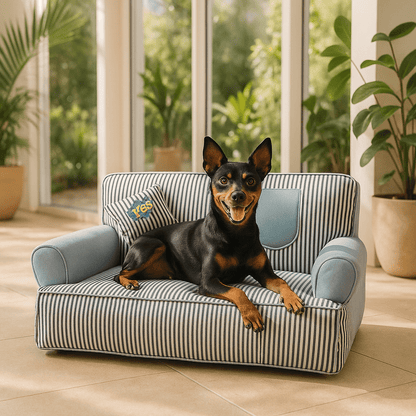 Canapé-chien-déhoussable-lavable en machine-antidérapant-imperméable-100% coton rembourrage ergonomique haute densité-respirant-lit 4 saisons-avec dossier et 2 accoudoirs cylindriques épais-assisse rembourré et épais-isole du froid pour chien de petite taille de 0 à 10 kg-un chien nain couché et heureux sur son canapé rayé bleu et blanc dans la véranda de l'appartement