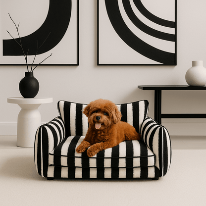 Canapé-chien-orthopédique-divan-noir et blanc-un caniche couché confortablement et heureux sur son fauteuil épais avec matelas à mémoire de forme et coussins 100% coton PP déhoussable et lavable en machine antidérapant dans le salon de l'appartement