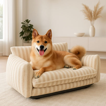 Canapé-chien-orthopédique-un chien moyen couché sur son divan moelleux et épais au rembourrage 100% coton haute densité antidérapant déhoussable et lavable de couleur baige dans le salon de la maison