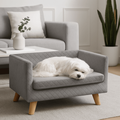 Canapé-chien-avec-coussin amovible épais et rembourré de mousse 100% coton haute densité déhoussable et lavable en machine-structure en bois avec pieds en bois de bouleau massif solide et robuste-anti affaissement-au design scandinave et moderne pour chien de petite taille jusqu'à 7 kg max-un petit chien blanc qui dort couché confortablement sur son canapé gris surélevé sur pied dans le salon moderne de l'appartement