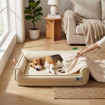 Canape-orthopedique-chien-chiot-imperméable, déhoussable, antidérapant et lavable avec deux poignée de transport semblable à un panier avec dossier et rebord en accoudoir, résistant aux griffes en cuir végan et matelas haute résilience à mémoire de forme en coton PP, design moderne et soigné avec coutures solides pour chiot et chien de petite à moyenne taille-un chien de race moyenne qui dort paisiblement dans son canapé avec sa couverture douce installé par son maitre dans le salon