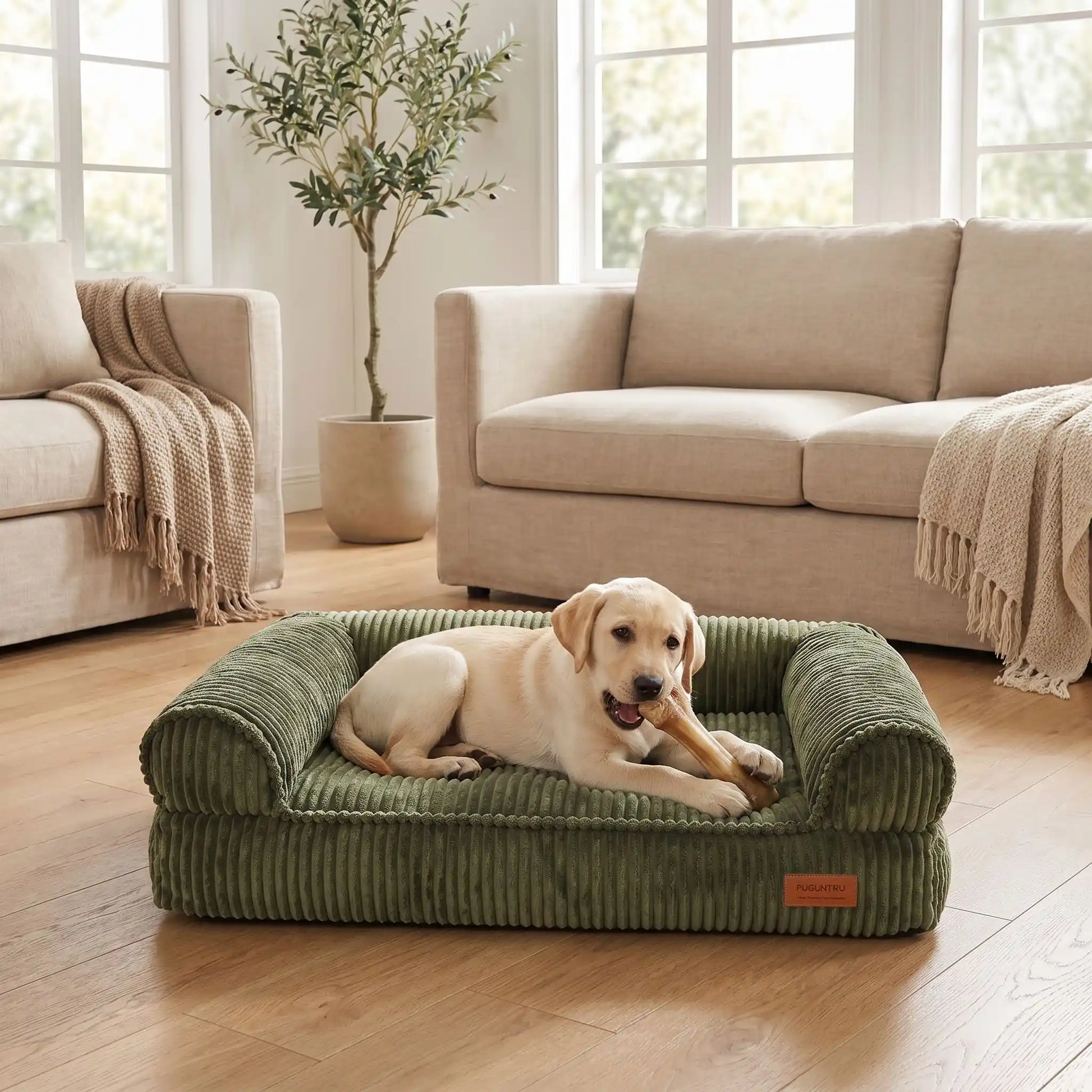 Canapé-petit-chien-chiot-lit avec housse velours résistant aux griffes, ultra doux, entièrement déhoussable et lavable en machine, rembourrage 100% coton PP et housse 100% imperméable avec son fond antidérapant pour chiot et chien de petite à moyenne taille de 0 à 15 kilos-un chiot qui mange son os couché confortablement sur son canapé lit moelleux et ergonomique avec rebords surélevés en velours chic de couleur vert olive dans le salon de la maison