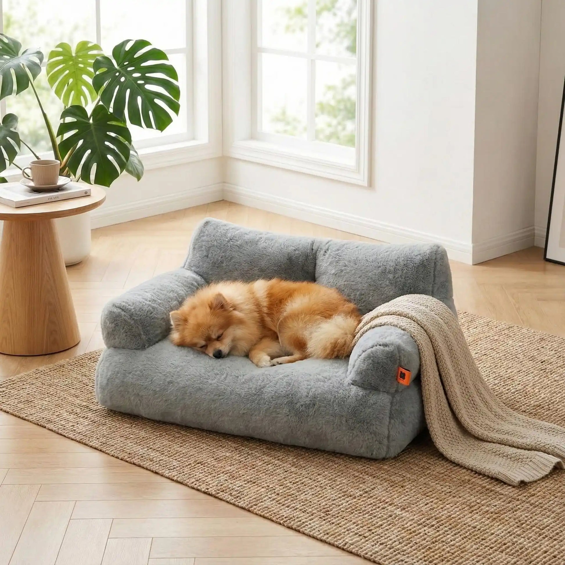 Canapé-petit-chien-douillet-anti-poils-déhoussable et lavable en machine-housse en peluche ultra-douce avec fond antidérapant et imperméable avec accoudoirs cylindrique dossier et assise au rembourrage 100% coton haute densité, ergonomique et 4 saisons, respirant et chaud-un chien de taille miniature qui dort paisiblement couché sur le canapé pour chien gris au toucher velours dans le salon de l'appartement