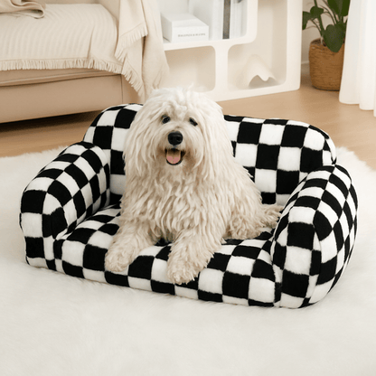 Canapé-pour-chien-déhoussable-coton-un puli assis dans le divan rembourré 100% coton haute densité lavable en machine et antidérapant dans le salon cosy de l'appartement