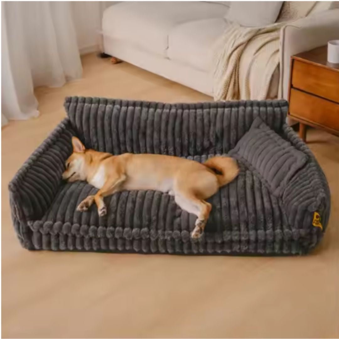 Canapé-pour-chien-chiot-déhoussable, lavable en machine, housse en velours douce comme un lit en peluche, avec accoudoirs et dossier entourant au rembourrage 100% coton PP avec un oreiller lavable en velours assorti pour chien de 0 à + de 45kg, antidérapant et fond imperméable-un chien moyen couché tout du long sur le flanc sur le grand canapé xl de 100 cm de long en velours de couleur noir dans le salon de l'appartement
