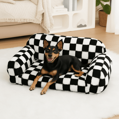 Canapé-pour-chien-déhoussable-petit-moyenne taille design graphique noir et blanc-un chien nain sur son mini canapé épais et moelleux rembourrage 100% coton haute densité déhoussable et lavable en machine dans la chambre de l'appartement
