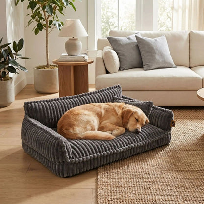 Canapé-pour-chien-chiot-déhoussable, lavable en machine, housse en velours douce comme un lit en peluche, avec accoudoirs et dossier entourant au rembourrage 100% coton PP avec un oreiller lavable en velours assorti pour chien de 0 à + de 45kg, antidérapant et fond imperméable-un chien de grande taille qui dort sur le canapé xxl de 120 cm de long en velours de couleur noir qui dort en boule niché contre l'accoudoir et le dossier dans le salon de la maison