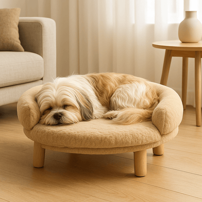 Canapé-pour-chien-sur-pied-lavable-bois-coton-un petit chine à poils long qui dort paisiblement dans son petit lit surélevé avec traversin à 180° entourant rembourré 100% coton haute résilience ergonomique lavable en machine avec structure en bois naturel robuste pour chien de petites races dans le salon de l'appartement
