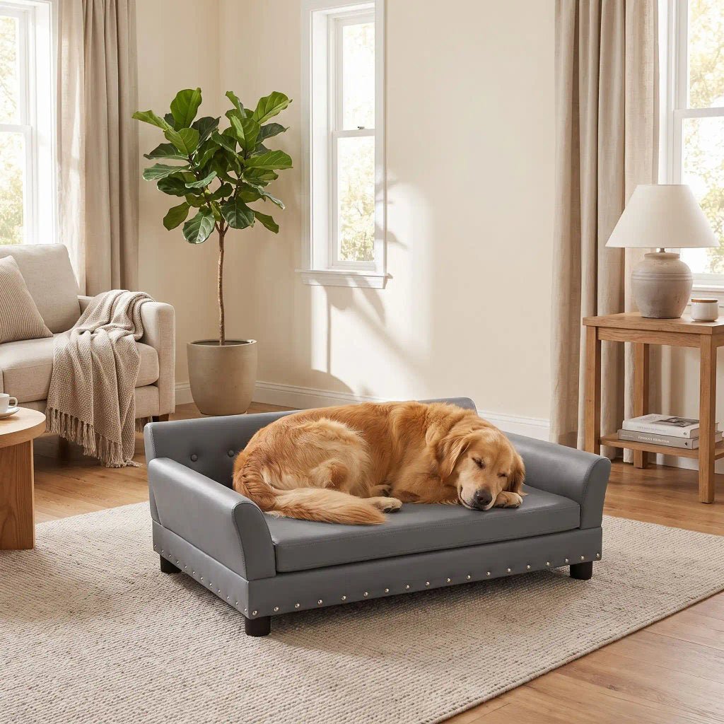 Canapé pour chien sur pied xl de 96 cm-matelas orthopédique à mémoire de forme en coton PP épais déhoussable, 100% imperméable et résistant aux griffes en cuir vegan sur 4 pieds en bois et structure robuste en bois d'eucalyptus robuste avec une capacité de charge de 80 kg pour chien de toute races jusqu'à 35kg de couleur gris- un chien de race moyenne qui dort confortablement sur le canapé design en bois avec accoudoir et matelassé avec matelas amovible orthopédique déhoussable et lavable dans le salon 