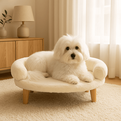 Canapé-pour-chien-sur-pied-peluche-un chien de petite taille couché confortablement sur son petit canapé design lavable en machine en velours et bois de couleur blanc avec 4 pieds en bois antidérapant et antidérapant dans le salon de la maison