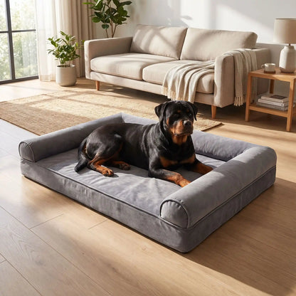 Canapé-pour-grand-chien-xxl matelas à mémoire de forme haute densité et élasticité, rebords surélevés cylindrique au rembourrage 100% Coton haute densité entourant et apaisant, coton et peluche douce, avec son tapis intérieur pour l'hiver en peluche amovible avec fermeture éclair et housse respirante en tissu oxford 100% imperméable et résistant, totalement déhoussable et lavable en machine, antidérapant-un chien de grande race robuste couché confortablement dans son canapé gris de 135 cm xxl dans le salon