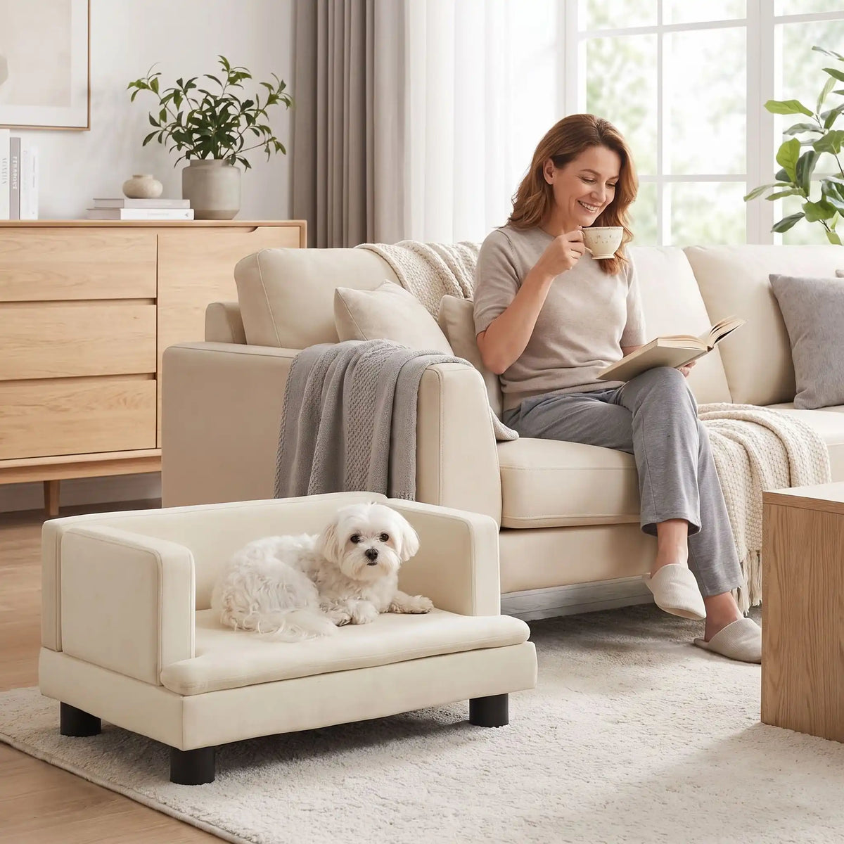 Canapé-pour-petit-chien-chiot-surélevé de 80 cm, structure en bois massif avec 4 pieds en bois et housse en velours doux et résistant aux griffes avec dossier haut en U entourant et enveloppant de forme rectangulaire, avec matelas épais en éponge coton haute densité et haute résilience pour un couchage ergonomique pour chien de petite à moyenne race, robuste avec une capacité de charge de 30 kilos-un chien de petite race couché confortablement dans le canapé en velours blanc crème sur 4 pieds dans le salon