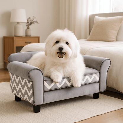 Canapé-pour-petit-chien-mini-design velours et bois massif avec pieds et assise amovible-un petit chien heureux et couché confortablement sur son canapé gris et touche élégante graphique blanc et gris avec assise déhoussable et lavable en machine dans le salon de l'appartement