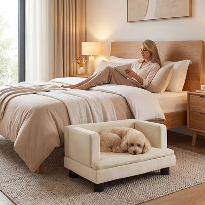 Canapé-pour-petit-chien-chiot-surélevé de 80 cm, structure en bois massif avec 4 pieds en bois et housse en velours doux et résistant aux griffes avec dossier haut en U entourant et enveloppant de forme rectangulaire, avec matelas épais en éponge coton haute densité et haute résilience pour un couchage ergonomique pour chien de petite à moyenne race, robuste avec une capacité de charge de 30 kilos-un chien moyen qui dort couché confortablement dans le canapé en velours crème sur 4 pieds dans la chambre