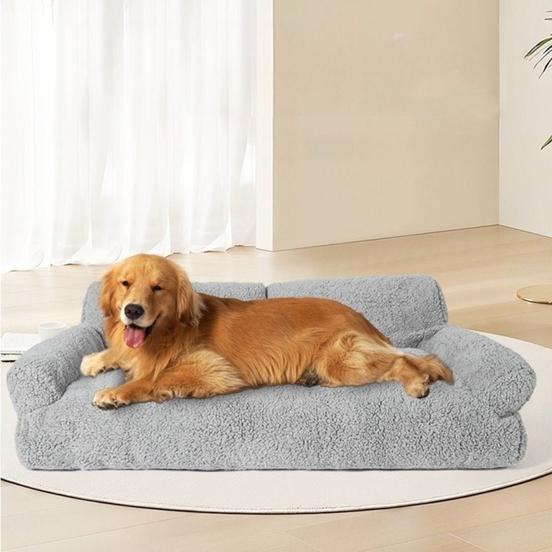 Canapés pour chiens - XXLToutou™