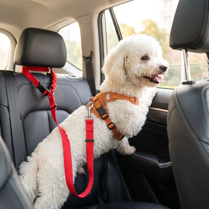 Ceinture-de-sécurite-pour-chien-2-en-1-laisse-voiture extensible, sangle robuste en nylon et clips  facile pour l'accrocher au appuie-tête des sièges, réglable et adaptable à tous véhicule-un chien qui regarde à travers la vitre, assis sur le siège arrière de la voiture attaché à la ceinture de sécurité par un crochet rotatif sur son harnais, avec le haut de la ceinture accorché en toute sécurité autour de l'appuie tête du siège avec sa sangle et son clips sécurisé 