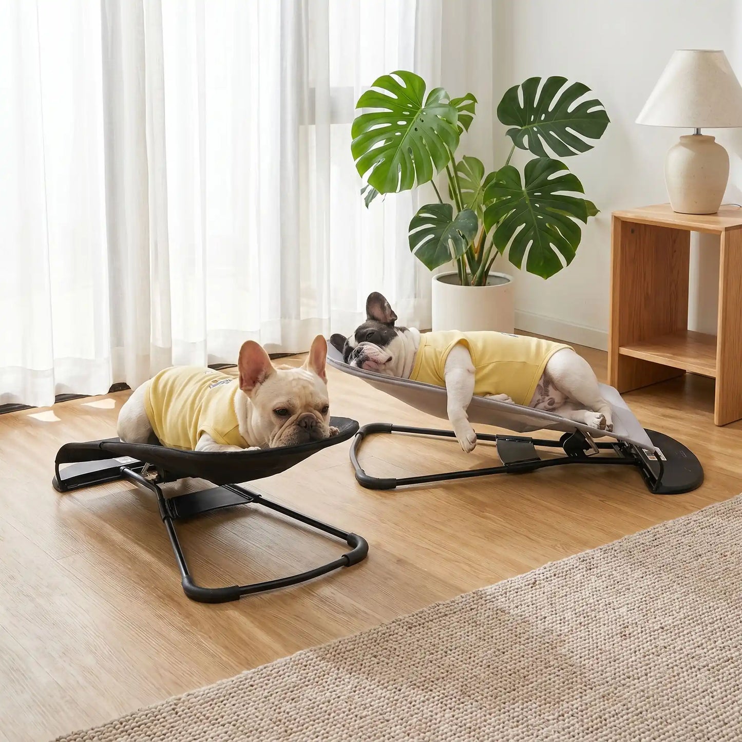 Chaise-a-bascule-pour-chien-anti-anxiété et anti-stress, pour petit  chien de 0 à 14 kilos max, structure en acier solide, housse en polyester respirant et lavable en machine, hamac avec harnais de sécurité et sangle à clips robuste, 3 poisitions de réglages pour bercer et apaiser le chiot ou le chien ou en mode lit-pliable, compact et léger qui apaise les chiot et chien anxieux ou trop energique-deux petits chiens couchés : l'un sur le flanc et l'autre sur le ventre sur leur fauteuil à bascule 
