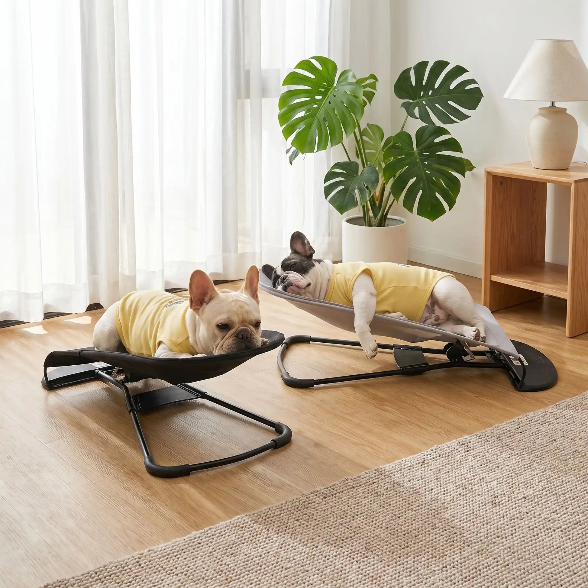 Chaise-a-bascule-pour-chien-anti-anxiété et anti-stress, pour petit  chien de 0 à 14 kilos max, structure en acier solide, housse en polyester respirant et lavable en machine, hamac avec harnais de sécurité et sangle à clips robuste, 3 poisitions de réglages pour bercer et apaiser le chiot ou le chien ou en mode lit-pliable, compact et léger qui apaise les chiot et chien anxieux ou trop energique-deux petits chiens couchés : l'un sur le flanc et l'autre sur le ventre sur leur fauteuil à bascule 