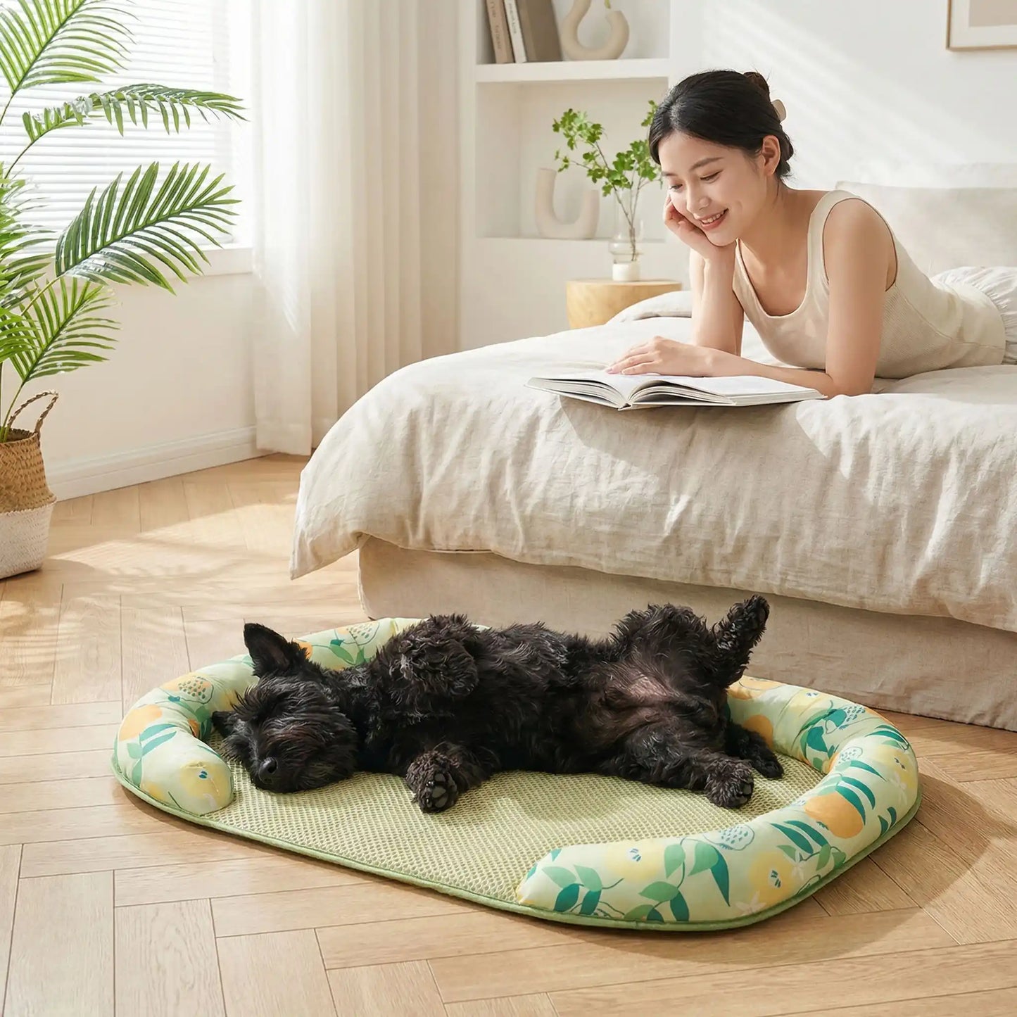 Chien-tapis-rafraichissant-coussin-apaisant avec rebord surélevé en U pour un effet entourant 100% coton haute densité, respirant , lavable et antidérapant, un effet rafraichissant immédiat sans eau ni électricité, sans danger pour les chiens de petites à moyenne tailles-un chien noir à poils épais et frisé qui dort sur le dos, les pattes en l'air sur son tapis rafraichissant entouré par le traversin rembourré protecteur à côté du lit de sa maitresse allongée qui lit dans la chambre de l'appartement en été