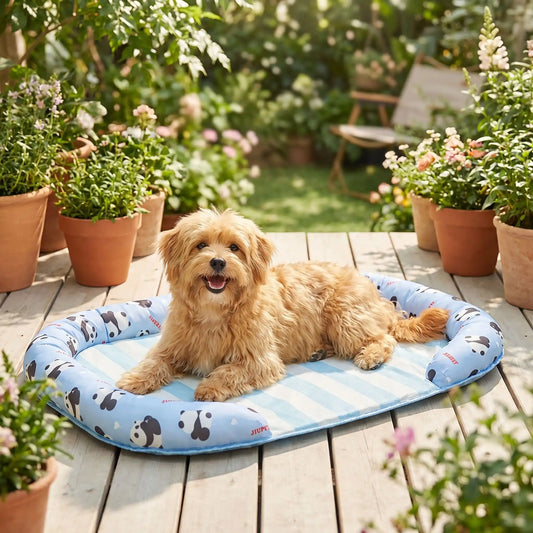 Chien-tapis-rafraichissant-coussin-apaisant avec rebord surélevé en U pour un effet entourant 100% coton haute densité, respirant , lavable et antidérapant, un effet rafraichissant immédiat sans eau ni électricité, sans danger pour les chiens de petites à moyenne tailles-un chien à poils longs et épais couché confortable sur son tapis rafraichissant sur le lit, entouré par le traversin rembourré protecteur,de couleur bleu à rayure et motifs mignons de pandas sur le traversin rembourré  sur la terasse en été
