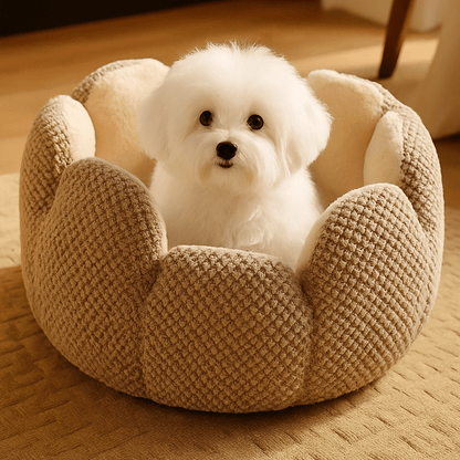 Coussin-anti-stress-chien-apaisant-lavable en machine-épais moelleux au rembourrage 100% coton haute densité avec coussin intérieur réversible hiver et été respirant en coton et chaud en velours de couleur marron dans le salon de l'appartement
