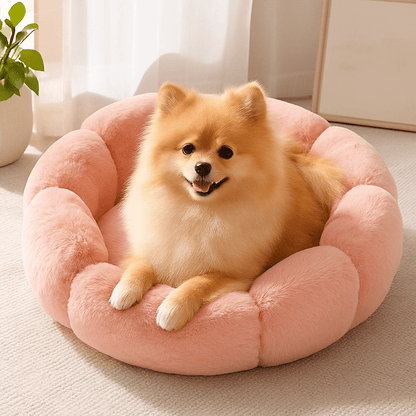 Coussin-anti-stress-chien-apaisant-chihuahua-caniche nain-Teckel miniature-Schnauzer- bichon frisé -Cairn terrier -Jack Russel - Pinscher nain -Coton de Tuléar- Shih tzu-Loulou de poméranie -Yorkshire-Lhassa Apso -Affenpinscher-Épagneul Papillon, ou Épagneul nain-Petit brabançon