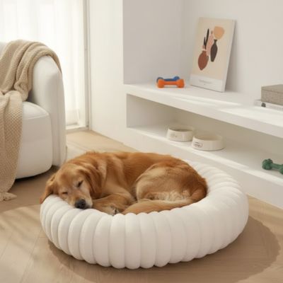 Coussin-anti-stress-chien-chiot-cocon-antiderapant, rembourrage 100% coton haute densité, housse en velours doux et hypoallergénique, lit rond en forme de donut avec rembord surélevé entourant à 360° en peluche douce et disponible en 4 tailles du XS au XL pour chien de petite à grande taille-un golden retriever qui dort couché en boule dans son coussin rond apaisant avec rebord pour sa tête, lit chaud et ergonomique au rembourrage 100% coton haute densité dans le salon de l'appartement