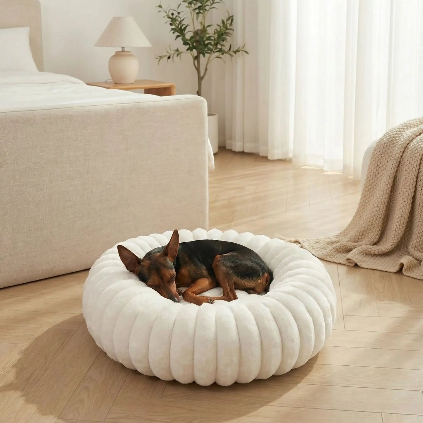 Coussin-anti-stress-chien-chiot-cocon-antiderapant, rembourrage 100% coton haute densité, housse en velours doux et hypoallergénique,lavable en machine, lit rond en forme de donut avec rembord surélevé entourant à 360° en peluche douce et disponible en 4 tailles du XS au XL pour chien de petite à grande taille-un chiot qui dort niché dans son coussin rond apaisant et chaud ergonomique au rembourrage 100% coton haute densité dans la chambre de l'appartement