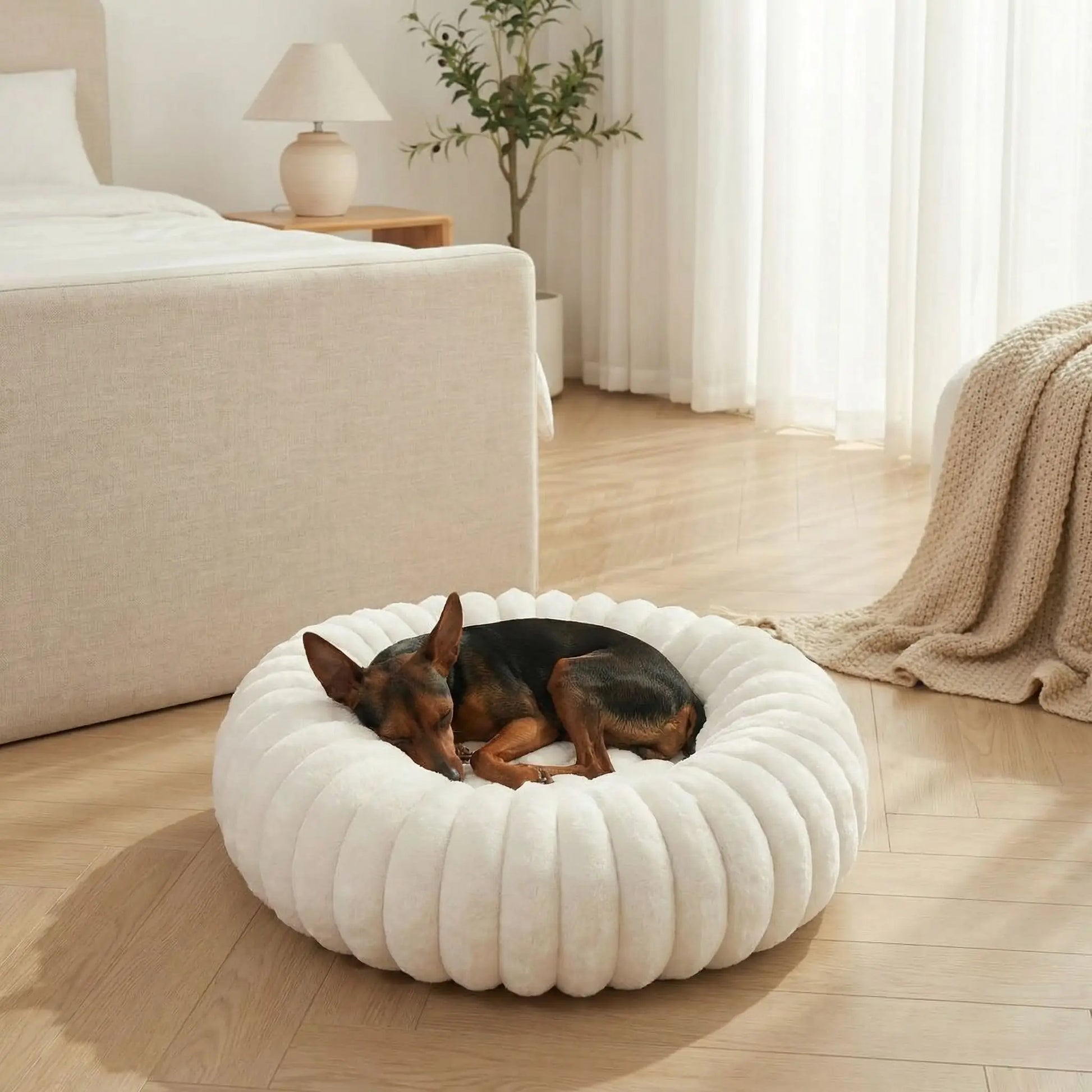 Coussin-anti-stress-chien-chiot-cocon-antiderapant, rembourrage 100% coton haute densité, housse en velours doux et hypoallergénique,lavable en machine, lit rond en forme de donut avec rembord surélevé entourant à 360° en peluche douce et disponible en 4 tailles du XS au XL pour chien de petite à grande taille-un chiot qui dort niché dans son coussin rond apaisant et chaud ergonomique au rembourrage 100% coton haute densité dans la chambre de l'appartement